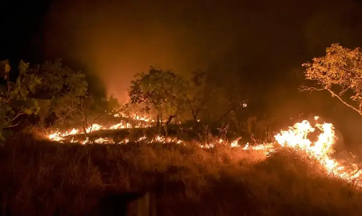 Incêndio destrói 5 hectares e mobiliza bombeiros por horas