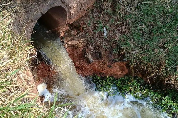 Mau cheiro e obra parada: moradores reclamam de esgoto na ponte da Av. Celanese