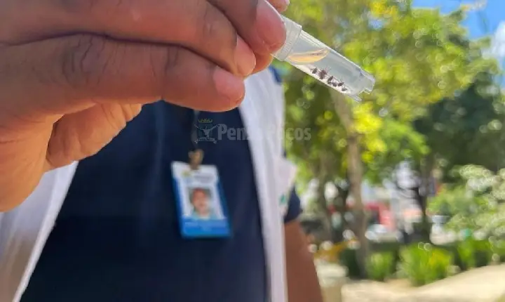 Prefeitura de Poços realiza monitoramento de carrapatos para prevenir riscos à saúde