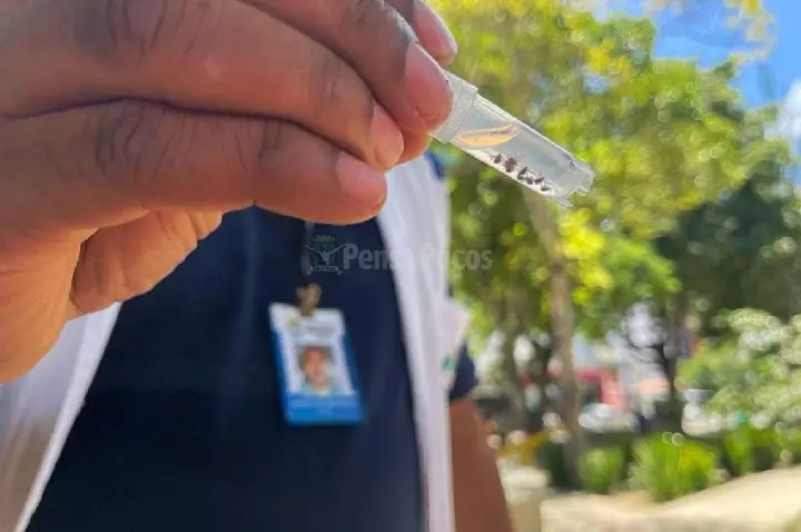 Prefeitura de Poços realiza monitoramento de carrapatos para prevenir riscos à saúde