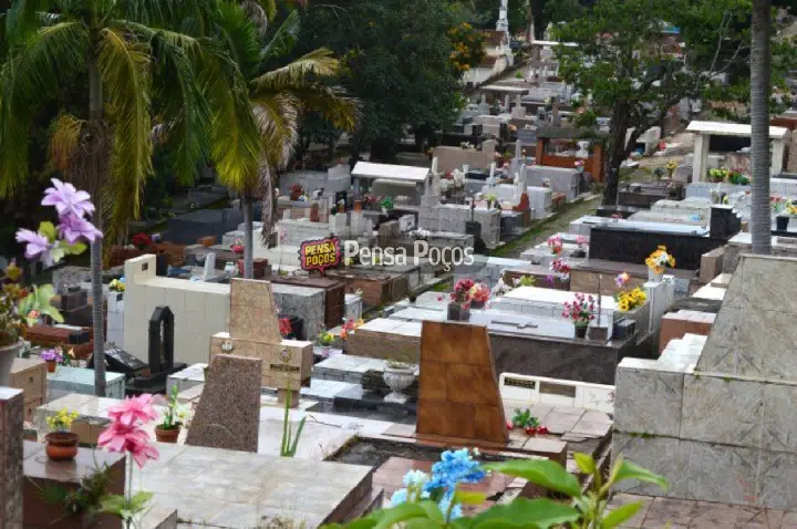 Túmulos abandonados no Cemitério da Saudade podem gerar multa de até R$ 5,5 mil
