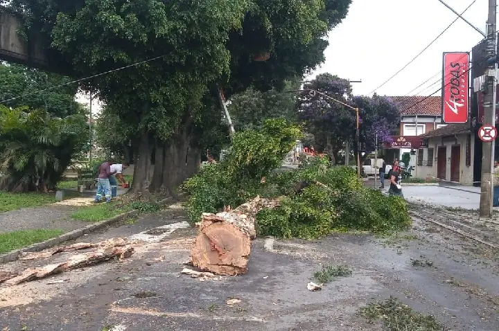 Uma gestão inimiga do meio ambiente