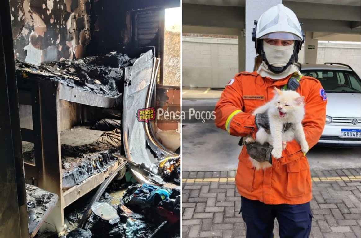 Gato é resgatado por bombeiros durante incêndio em apartamento em Poços
