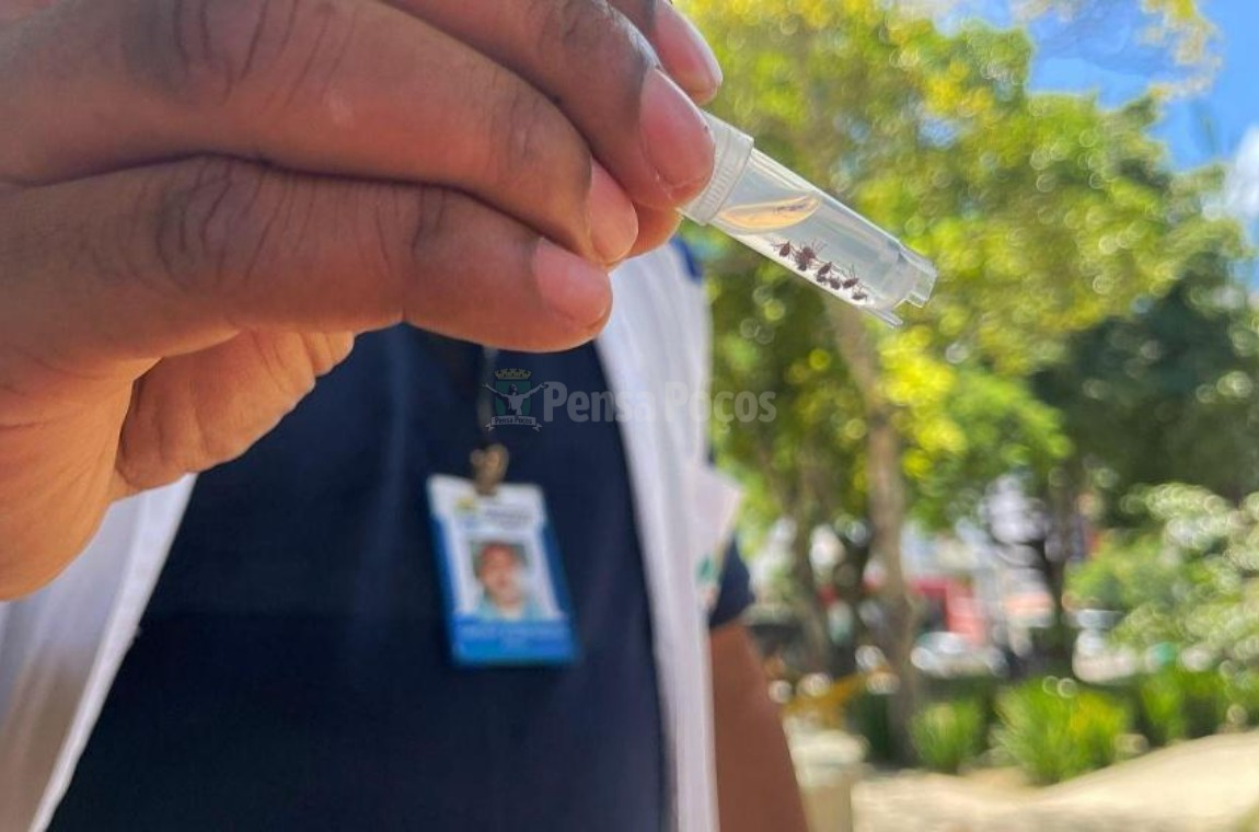 Prefeitura de Poços realiza monitoramento de carrapatos para prevenir riscos à saúde
