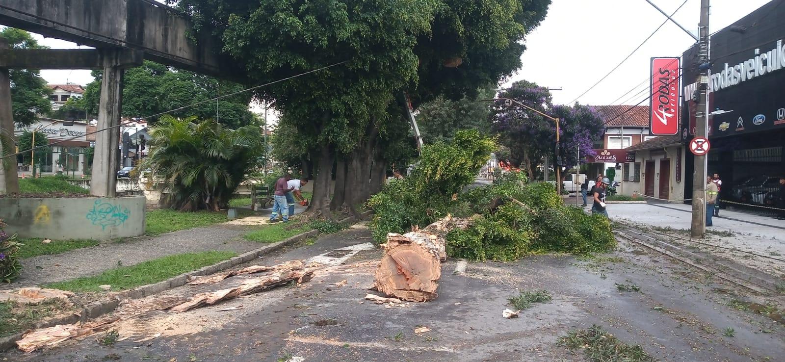 Uma gestão inimiga do meio ambiente