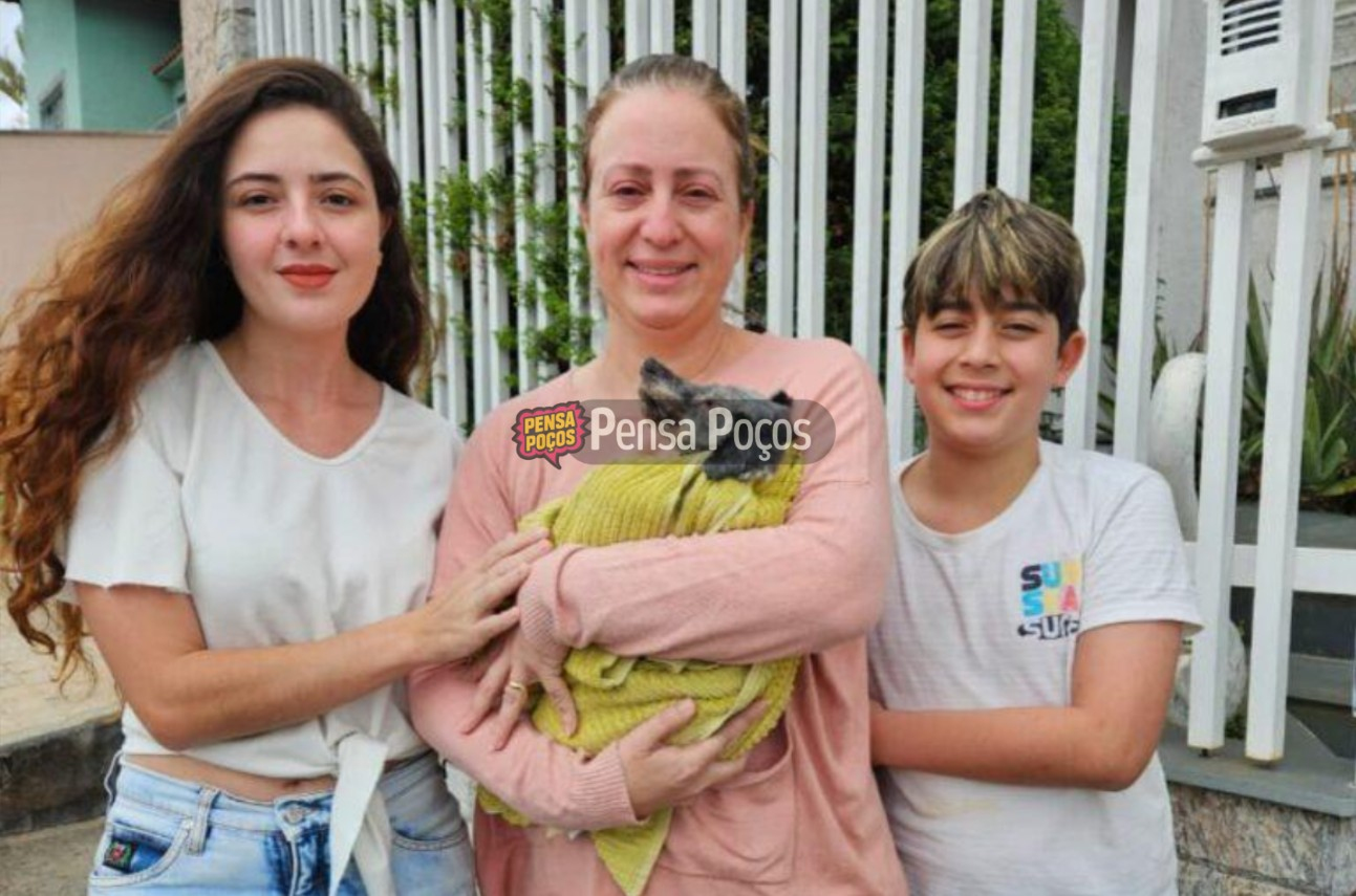 Cachorrinha idosa encontrada na rua tem final feliz após reencontro com a família