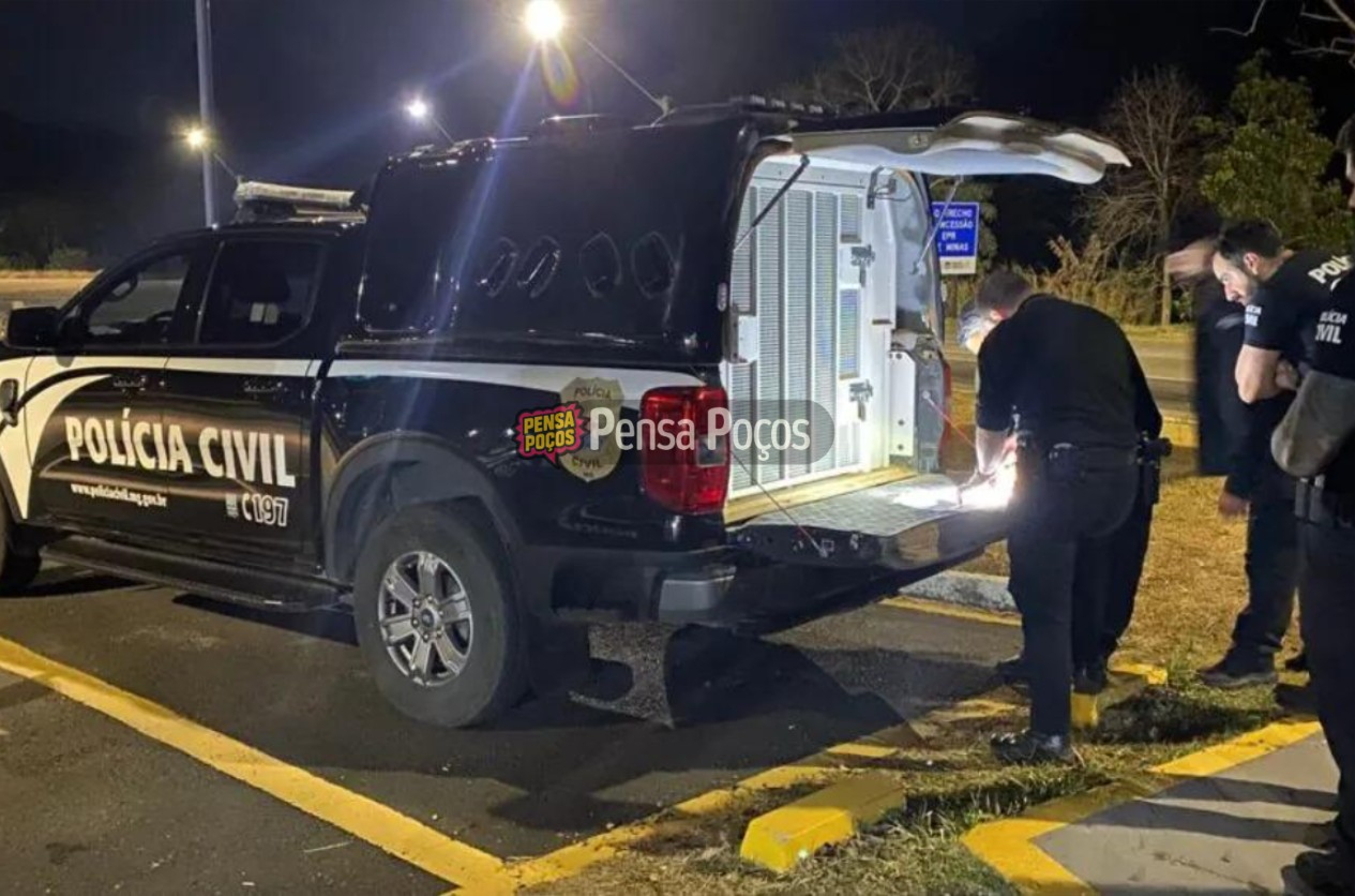 Operação “Colheita Noturna” mira furtos de café no Sul de Minas
