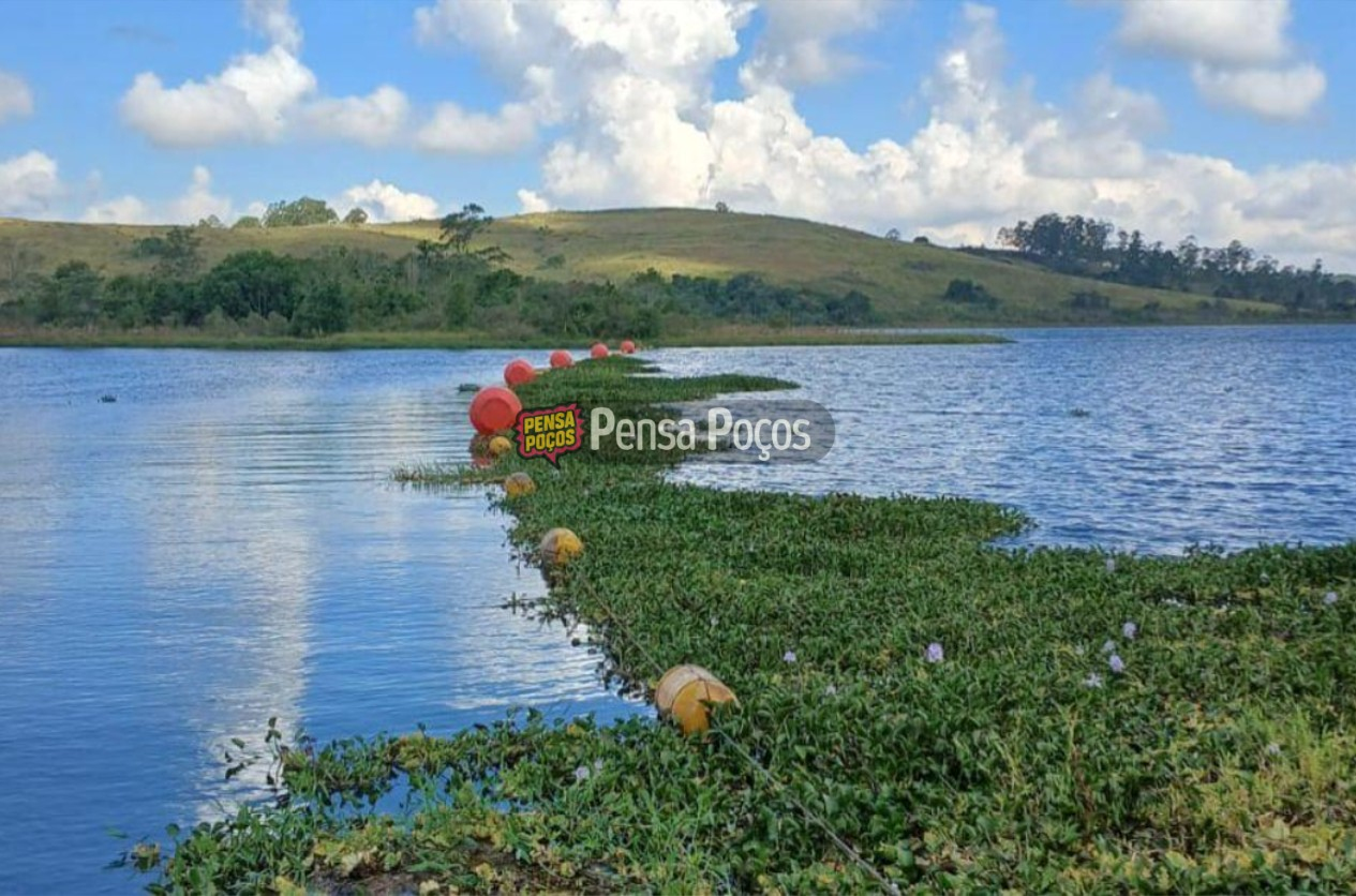 Vereador exige plano contra avanço de aguapés na Represa Bortolan